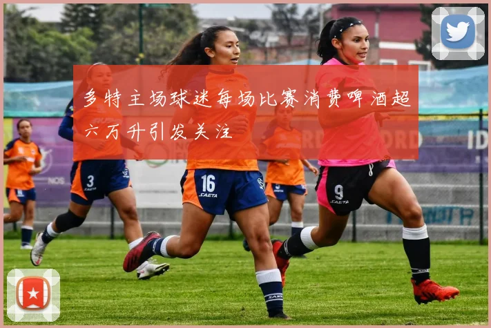 多特主场球迷每场比赛消费啤酒超六万升引发关注