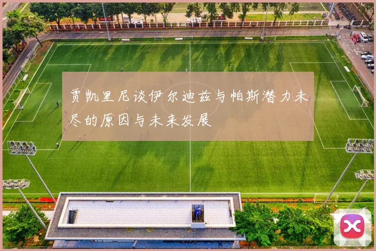 贾凯里尼谈伊尔迪兹与帕斯潜力未尽的原因与未来发展